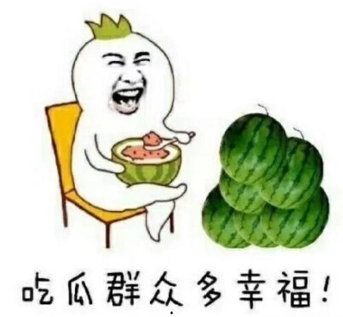 吃瓜娱乐圈费用,揭秘明星八卦背后的费用真相